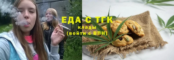 индика Абинск