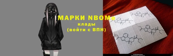 индика Абинск