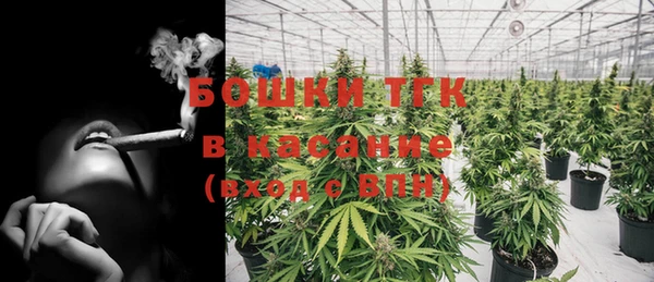 индика Абинск