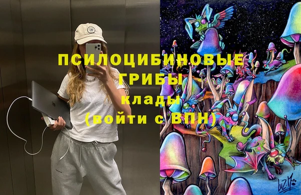 индика Абинск