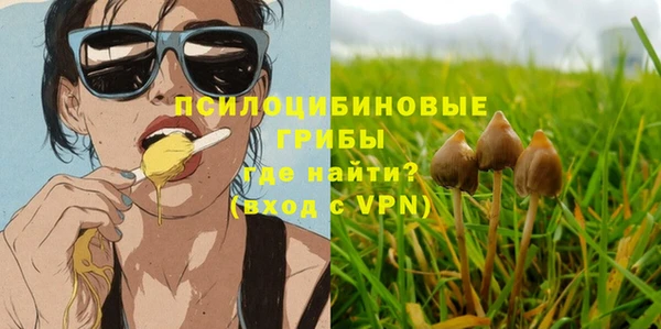 МДПВ Слюдянка
