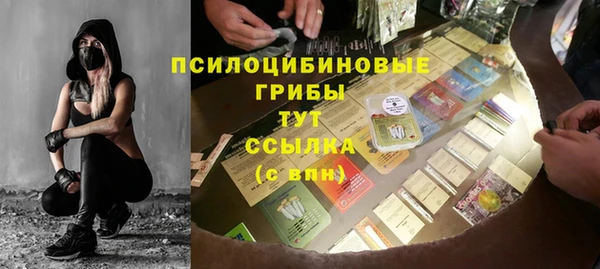 индика Абдулино