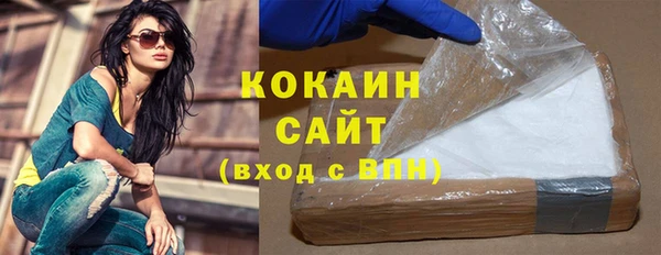 индика Абинск
