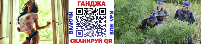 наркота  omg зеркало  Каннабис ГИДРОПОН  Зарайск 